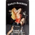 Табличка Nostalgic-Art "Harley-Davidson - Babe" 20x30 (22214)